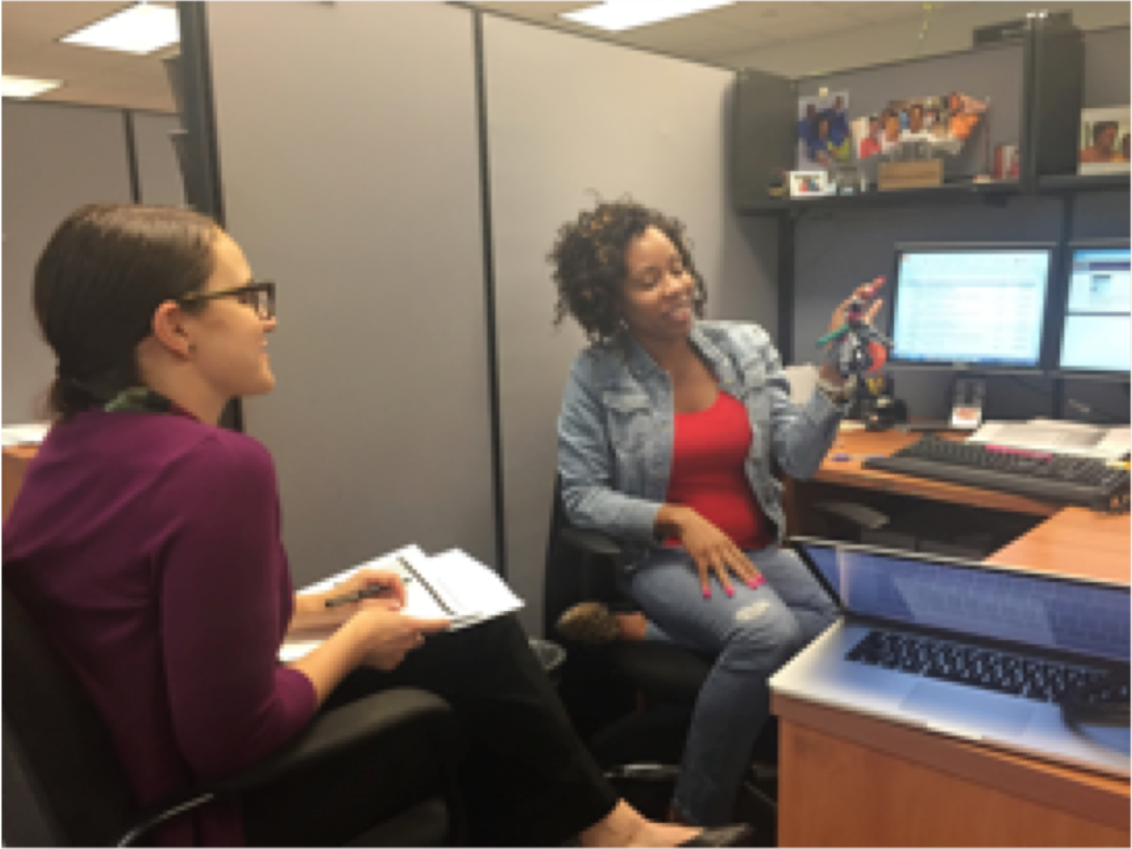 Contextual Inquiry Research Session